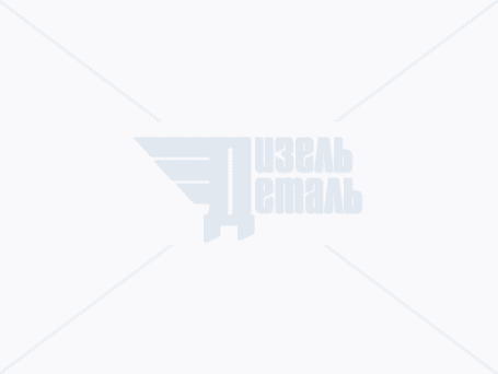 5340.1002031-10 Кольцо уплотнительное